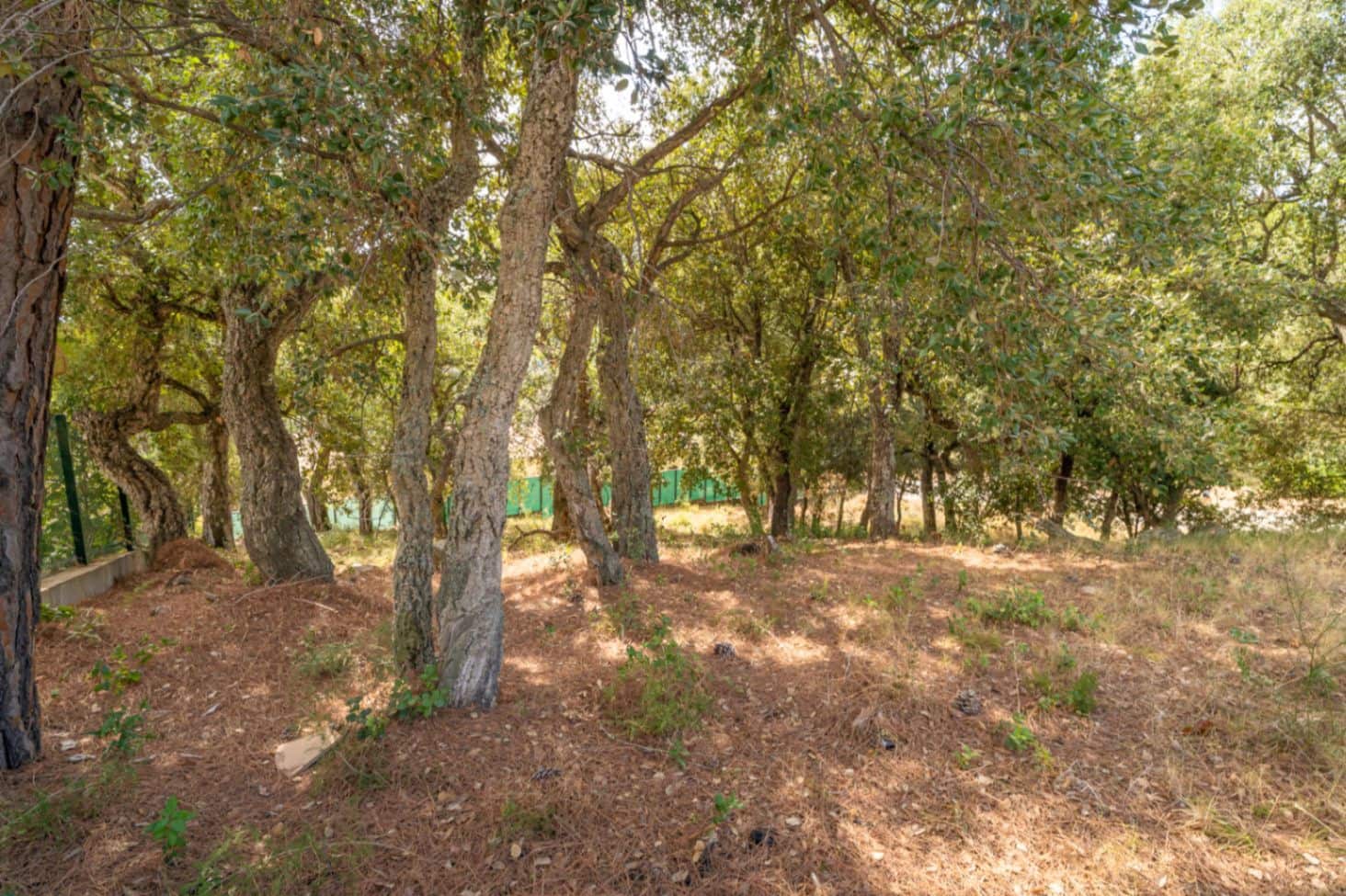 Area Edificabile in vendita in Calonge i Sant Antoni - 159.000 € (Rif: 10035987)