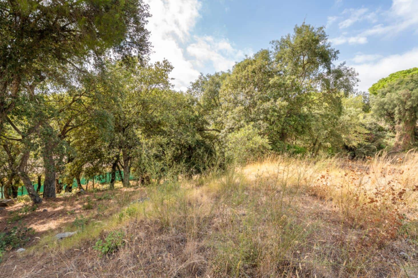 Area Edificabile in vendita in Calonge i Sant Antoni - 159.000 € (Rif: 10035987)