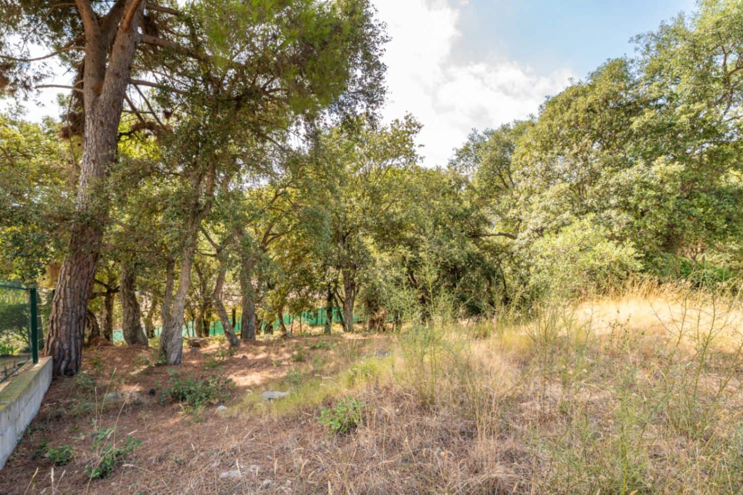 Area Edificabile in vendita in Calonge i Sant Antoni - 159.000 € (Rif: 10035987)