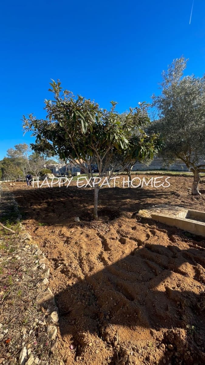 Terreno para Construção para venda em Olivella - 130 000 € (Ref: 7459190)