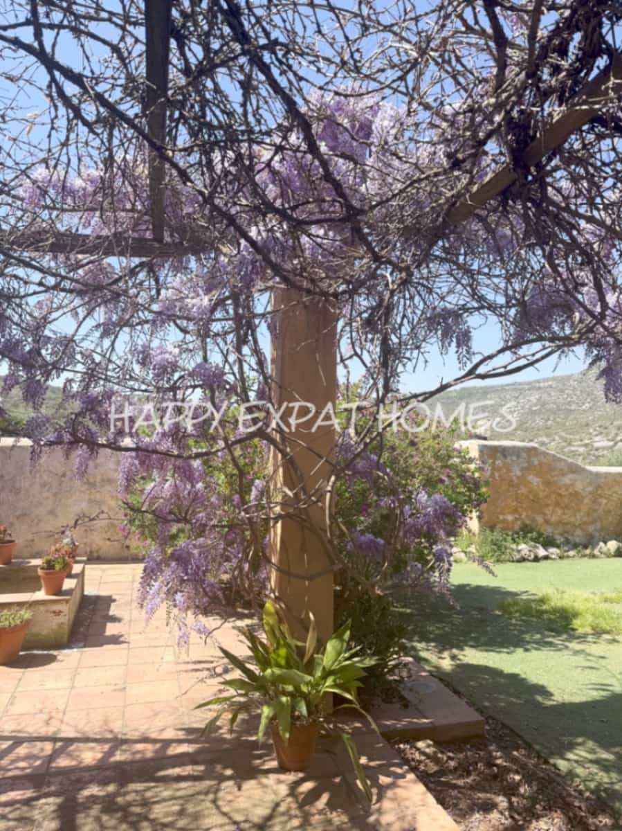 9 soveværelse Finca/Landehus til salg i Olivella - € 735.000 (Ref: 8931789)