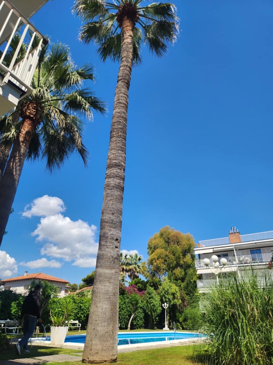 3 sovrum Lägenhet till salu i Sitges - 810 000 € (Ref: 9109825)