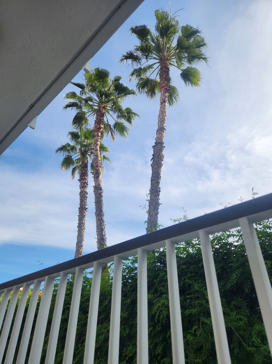 3 sovrum Lägenhet till salu i Sitges - 810 000 € (Ref: 9109825)