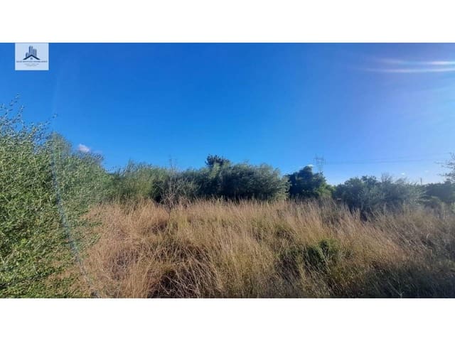 Grond te koop in Almassora / Almazora - € 28.000 (Ref: 9844755)
