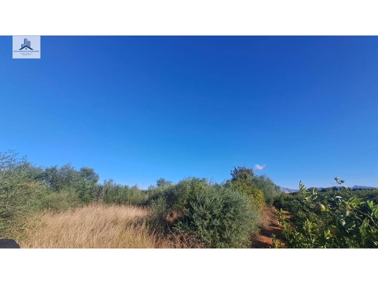 Undeveloped Land for sale in Almassora / Almazora - € 28,000 (Ref: 9844755)