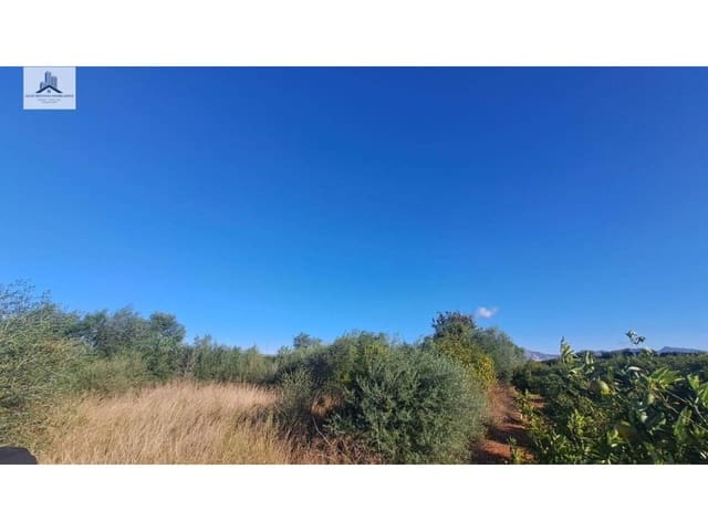 Grond te koop in Almassora / Almazora - € 28.000 (Ref: 9844755)