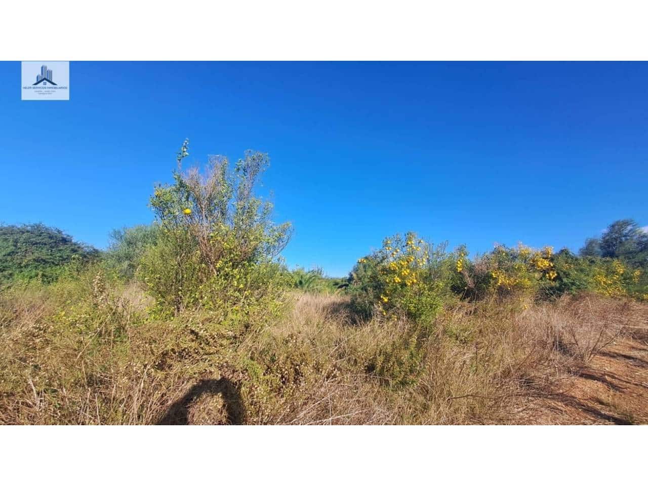 Undeveloped Land for sale in Almassora / Almazora - € 28,000 (Ref: 9844755)