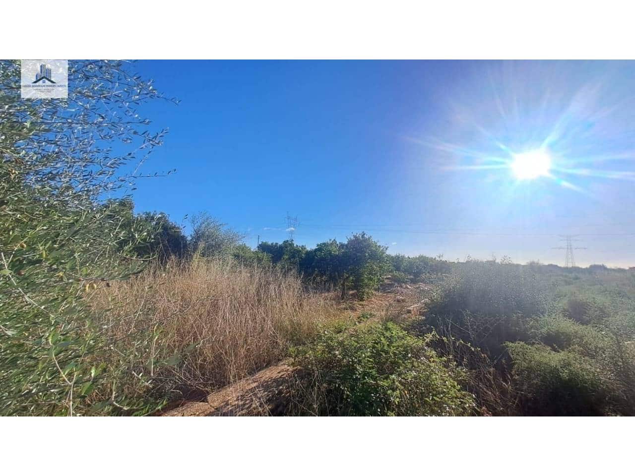 Undeveloped Land for sale in Almassora / Almazora - € 28,000 (Ref: 9844755)