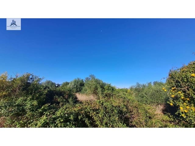 Grond te koop in Almassora / Almazora - € 28.000 (Ref: 9844755)