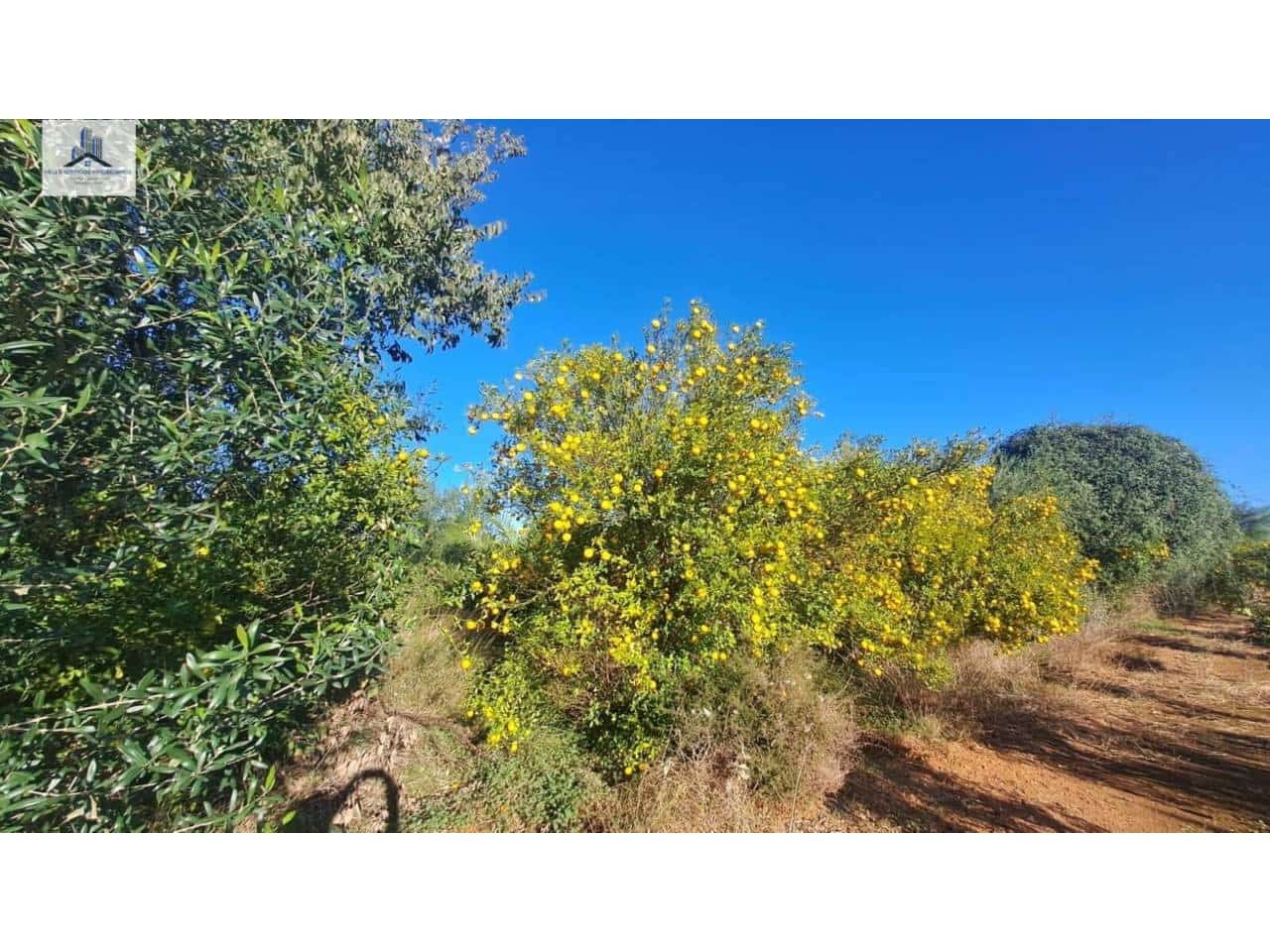 Undeveloped Land for sale in Almassora / Almazora - € 28,000 (Ref: 9844755)