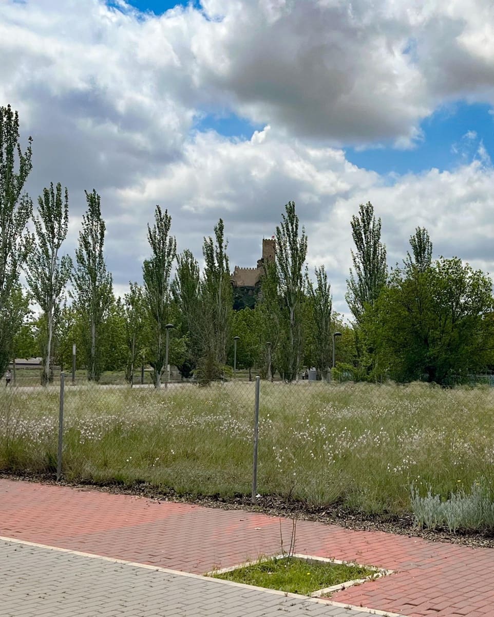 Byggegrund til salg i Almansa - € 68.000 (Ref: 9103495)