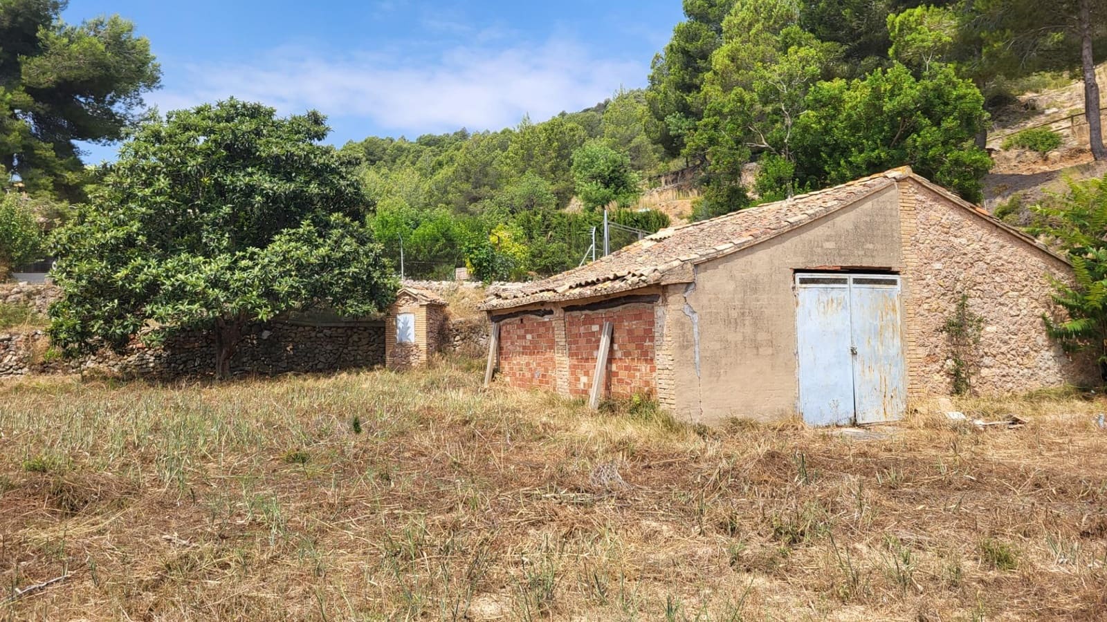Undeveloped Land for sale in Montichelvo - € 25,000 (Ref: 9128289)