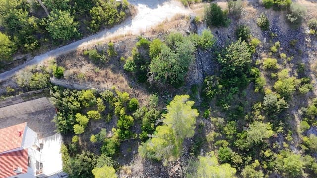 Tomt till salu i Marchuquera, Gandia - 44 900 € (Ref: 9252492)