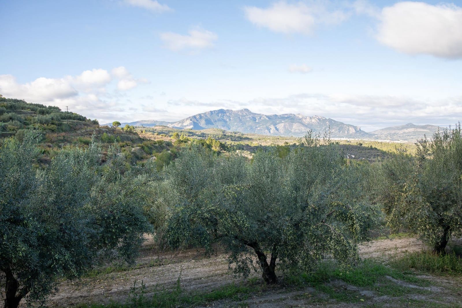 2 chambre Maison de Ville à vendre à Planes avec garage - 66 000 € (Ref: 9401105)