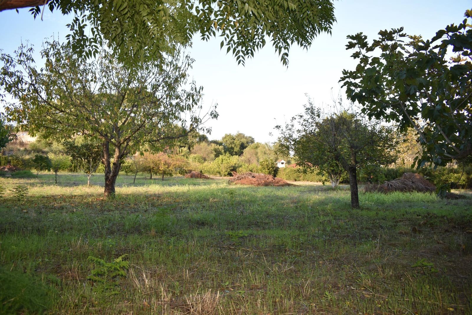 4 soveværelse Villa til salg i Xativa med swimmingpool garage - € 314.900 (Ref: 9419852)