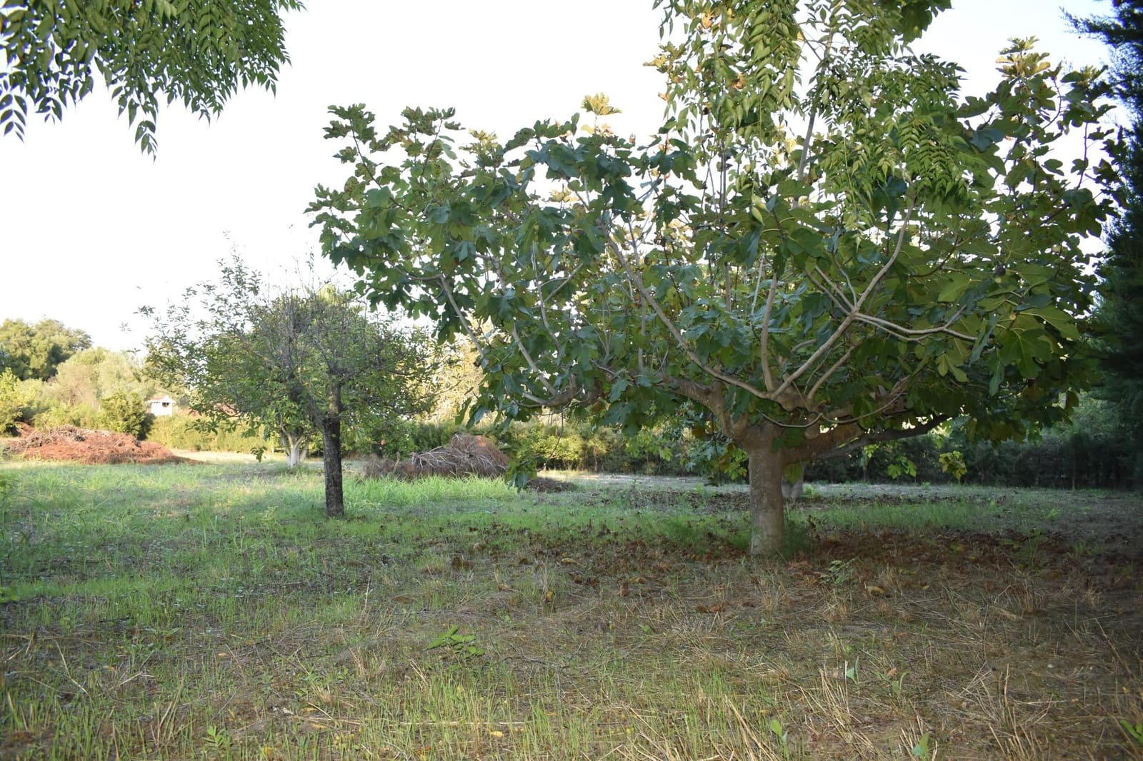 4 soveværelse Villa til salg i Xativa med swimmingpool garage - € 314.900 (Ref: 9419852)