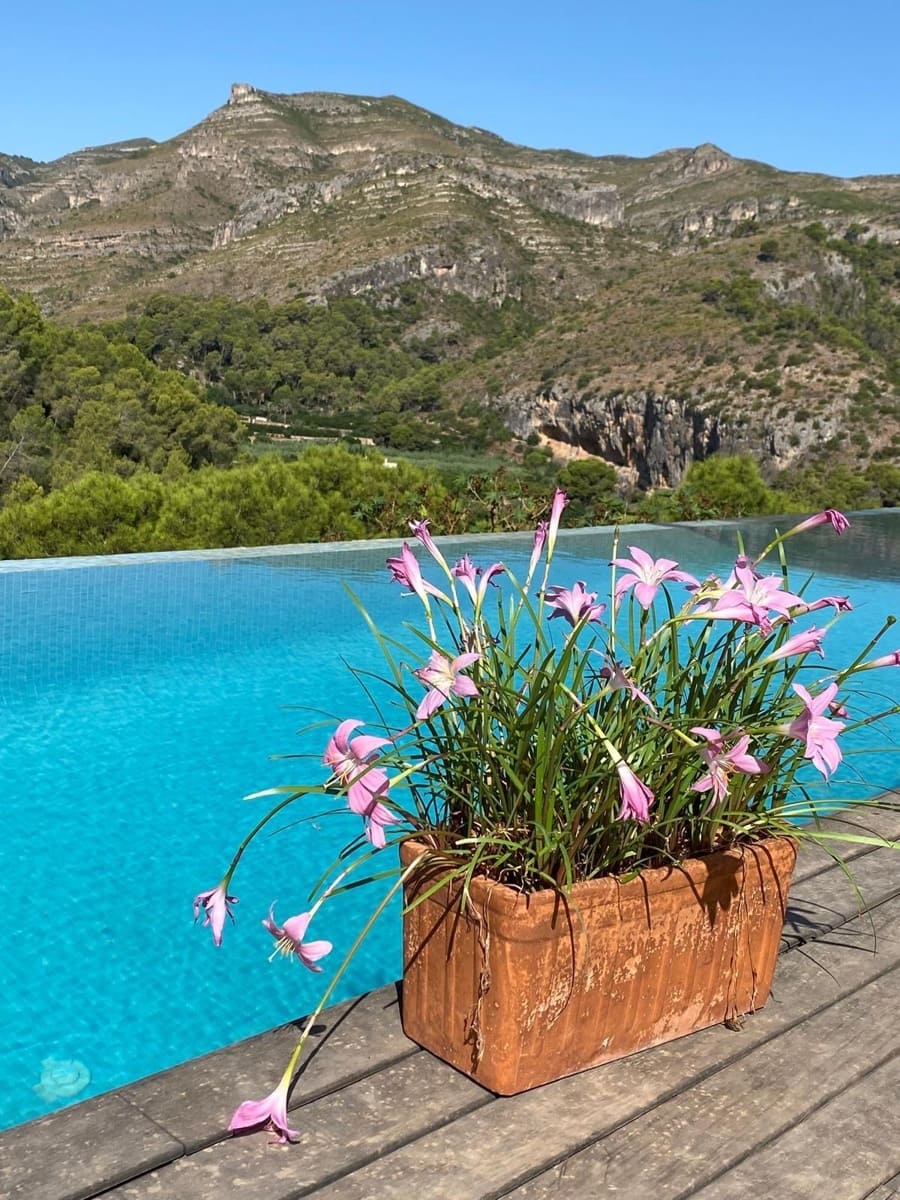 3 soverom Villa til salgs i Rotova med svømmebasseng garasje - € 600 000 (Ref: 9568732)