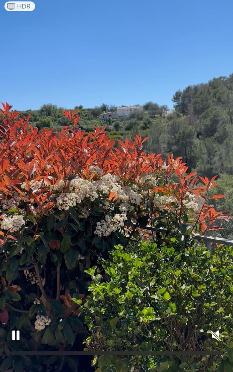 3 bedroom Villa for sale in Gandia with pool garage - € 600,000 (Ref: 9568732)