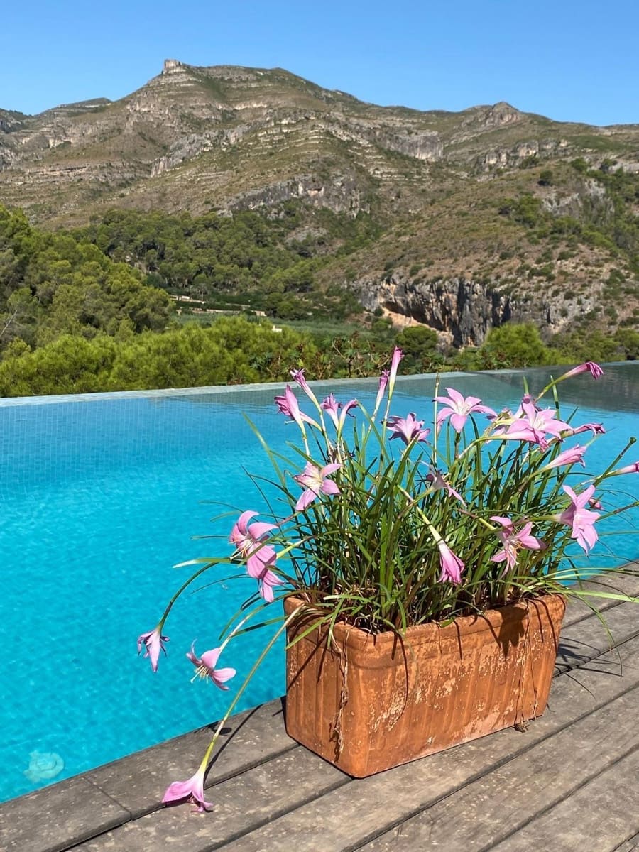 3 bedroom Villa for sale in Gandia with pool garage - € 600,000 (Ref: 9568732)