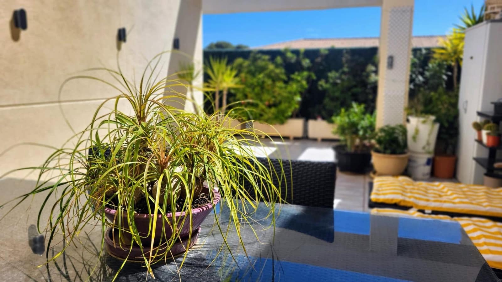 2 sovrum Takvåning till salu i Denia med pool garage - 412 000 € (Ref: 9741766)