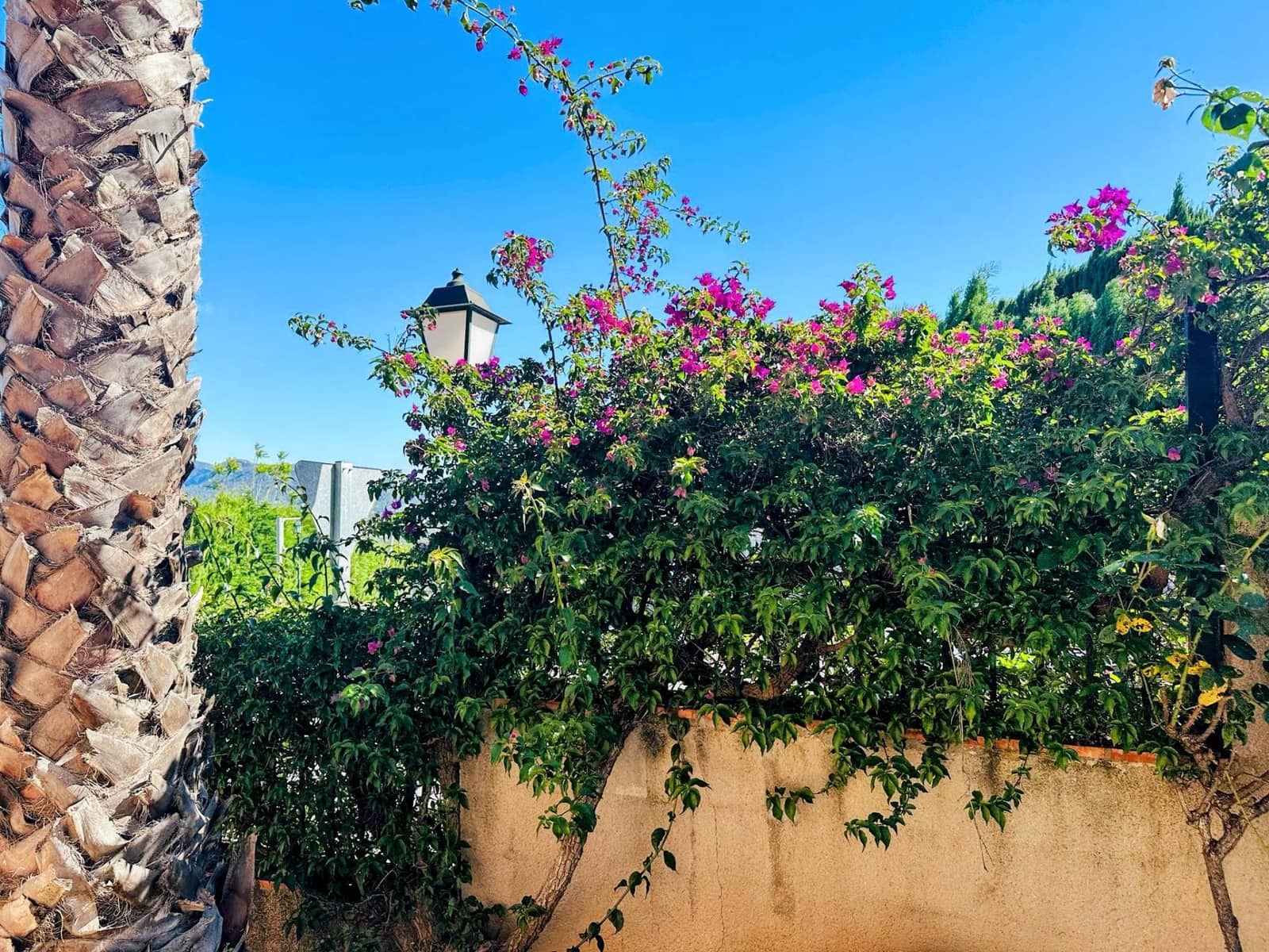 3 soverom Villa til salgs i Ador med svømmebasseng garasje - € 409 000 (Ref: 9840379)