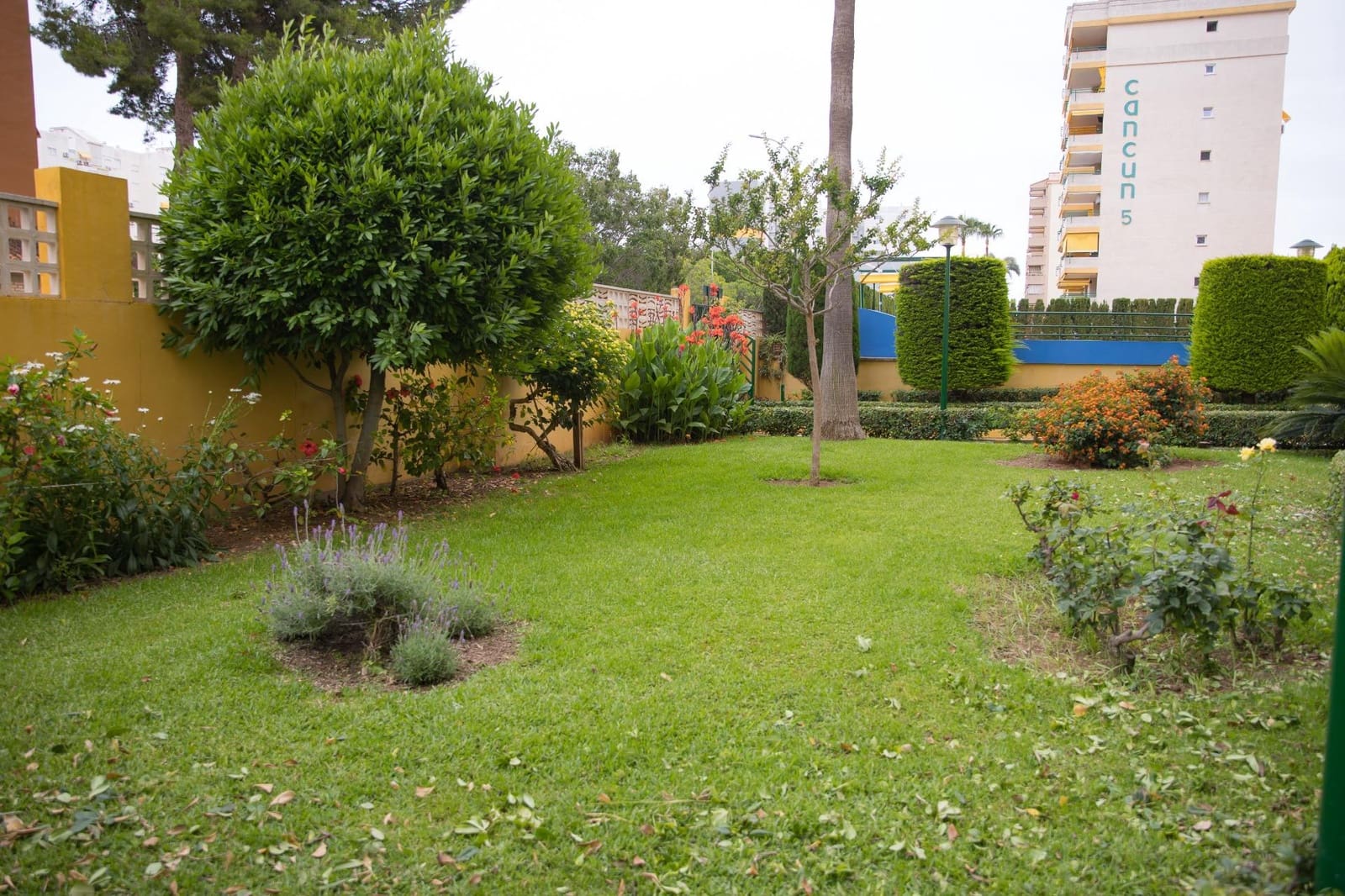 3 soveværelse Lejlighed til salg i Gandia med swimmingpool garage - € 300.000 (Ref: 9904015)