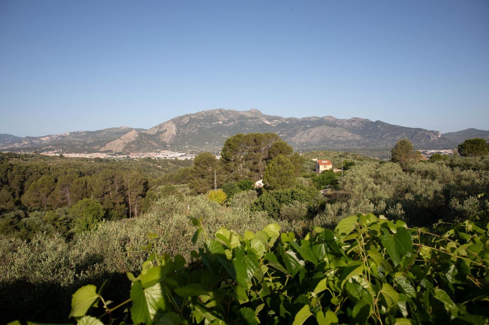 5 camera da letto Finca/Casa di Campagna in vendita in Benimarfull con piscina garage - 300.000 € (Rif: 9913228)