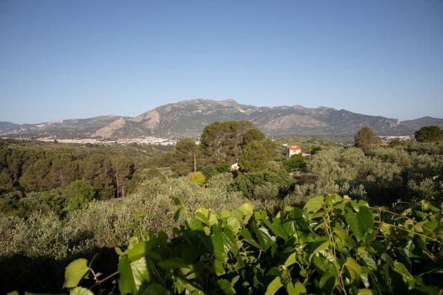 5 camera da letto Finca/Casa di Campagna in vendita in Benimarfull con piscina garage - 300.000 € (Rif: 9913228)