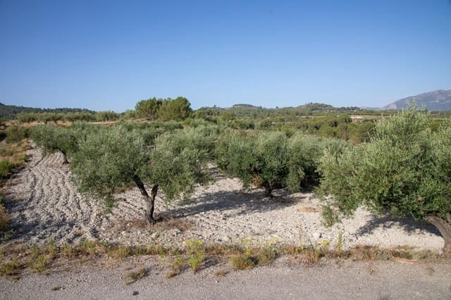 Bouwgrond te koop in Almudaina - € 100.000 (Ref: 9970654)