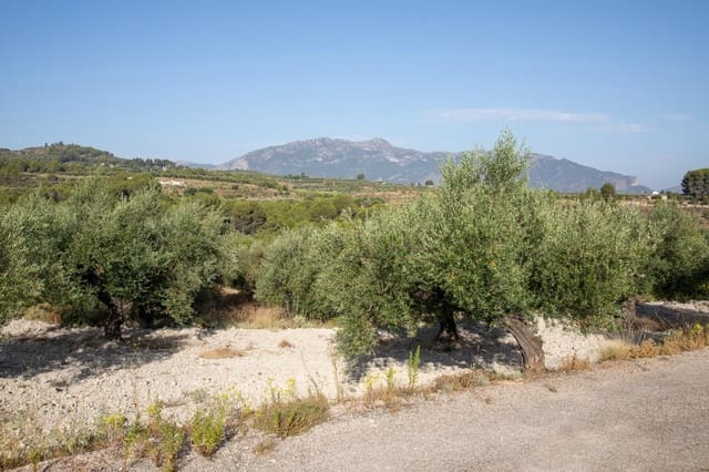 Bouwgrond te koop in Almudaina - € 100.000 (Ref: 9970654)