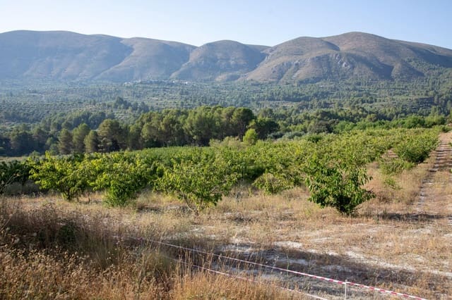 Bouwgrond te koop in Almudaina - € 100.000 (Ref: 9970654)