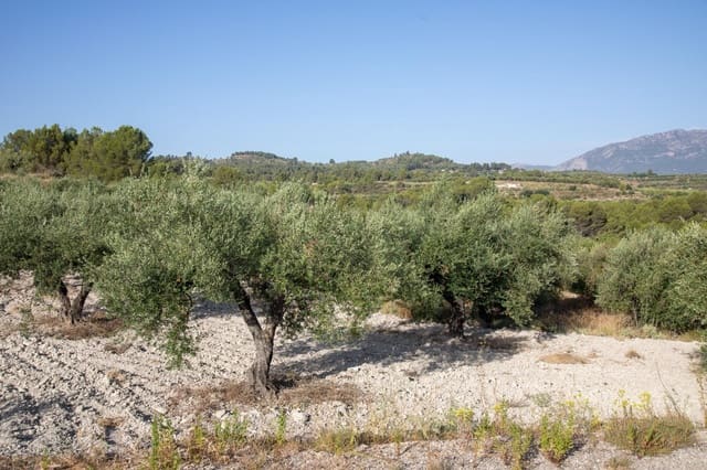 Bouwgrond te koop in Almudaina - € 100.000 (Ref: 9970654)