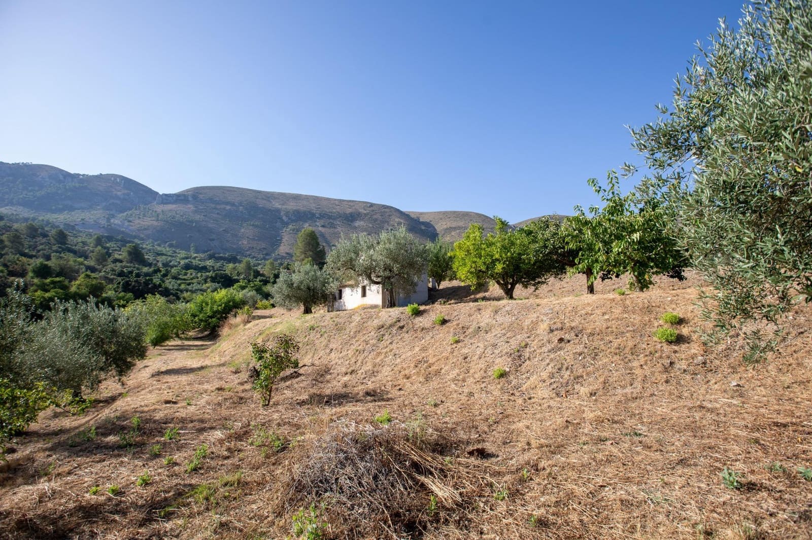 3 slaapkamer Finca/Landhuis te koop in Almudaina - € 200.000 (Ref: 9970658)