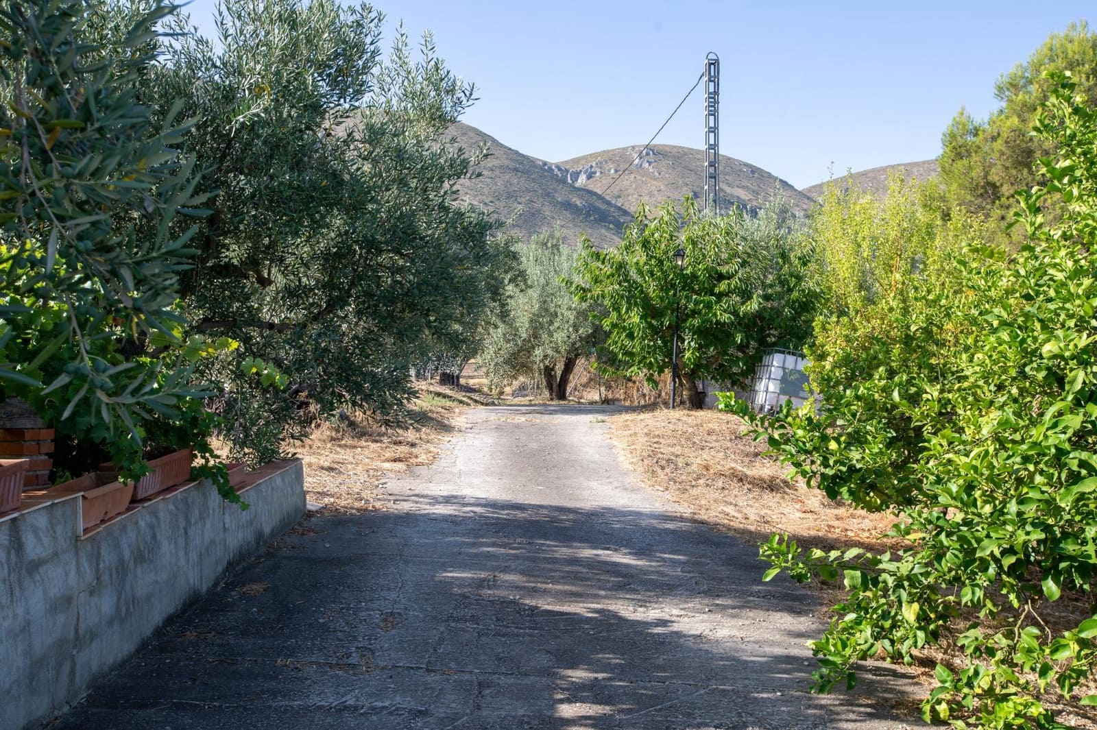 3 slaapkamer Finca/Landhuis te koop in Almudaina - € 200.000 (Ref: 9970658)