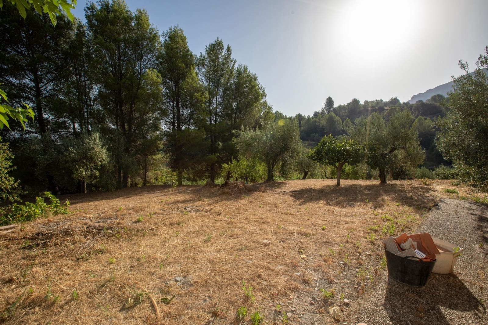 3 slaapkamer Finca/Landhuis te koop in Almudaina - € 200.000 (Ref: 9970658)