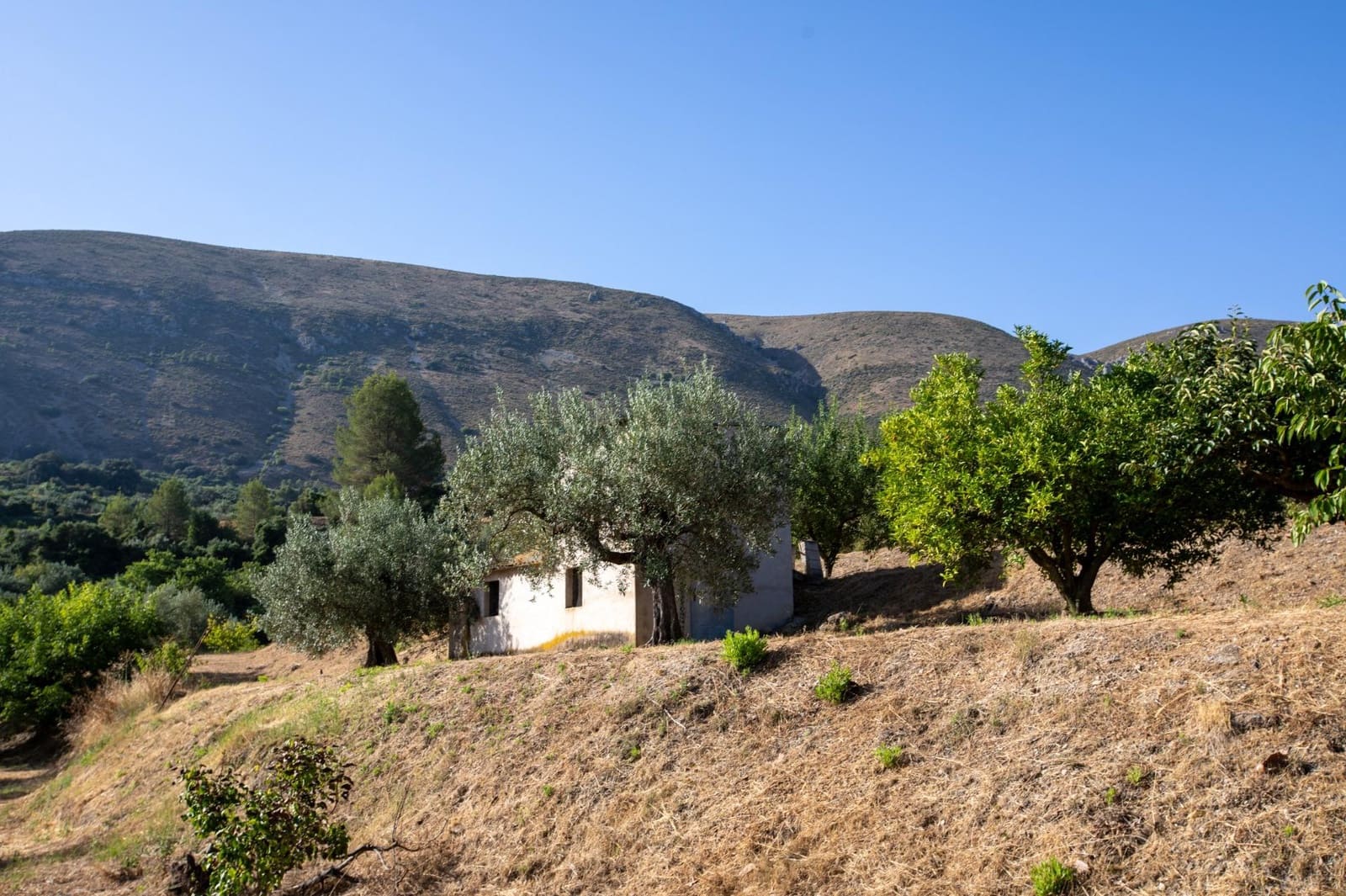 3 slaapkamer Finca/Landhuis te koop in Almudaina - € 200.000 (Ref: 9970658)