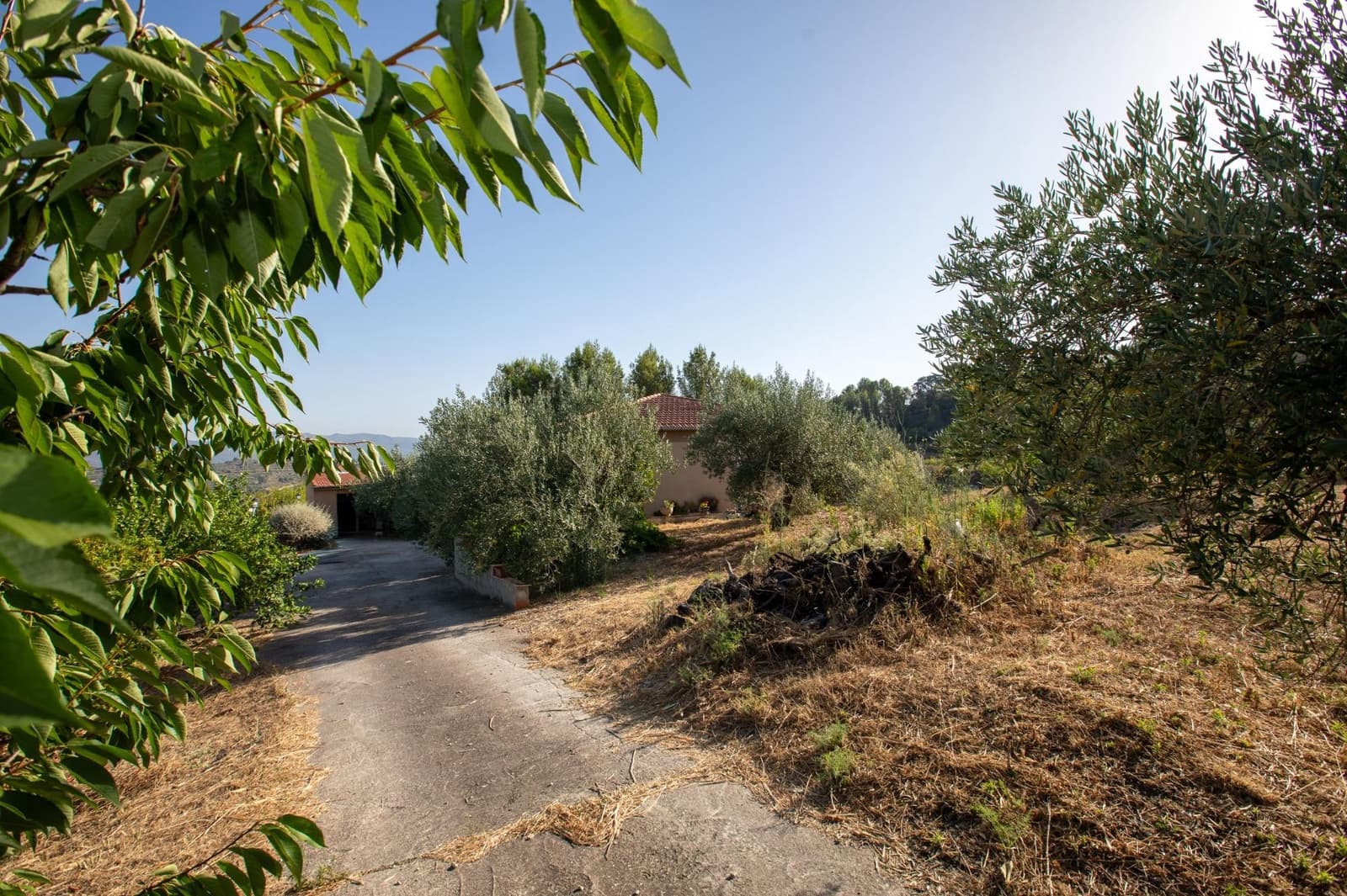 3 slaapkamer Finca/Landhuis te koop in Almudaina - € 200.000 (Ref: 9970658)