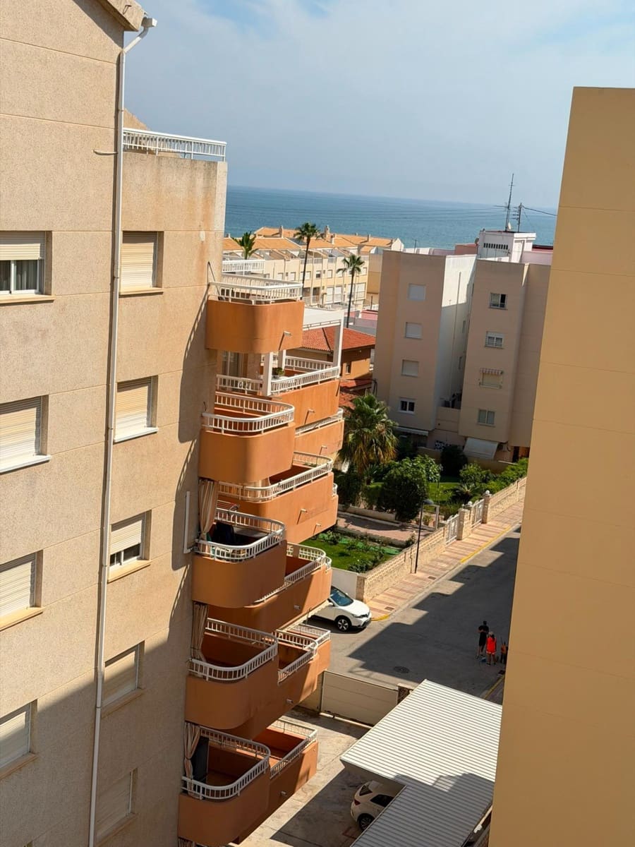 3 chambre Appartement à vendre à Daimus - 325 000 € (Ref: 9983059)
