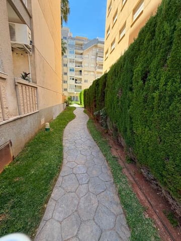 3 chambre Appartement à vendre à Daimús - 325 000 € (Ref: 9983059)