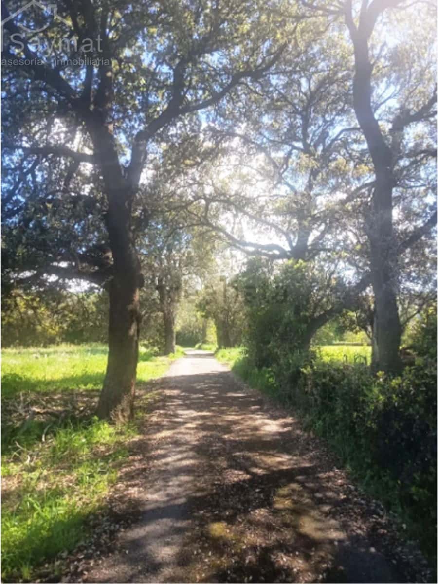 Terrain à Bâtir à vendre à Carriazo - 598 000 € (Ref: 9981250)