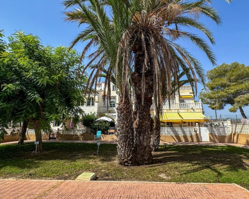 1 slaapkamer Villa te koop in San Miguel de Salinas met zwembad - € 105.000 (Ref: 10019886)