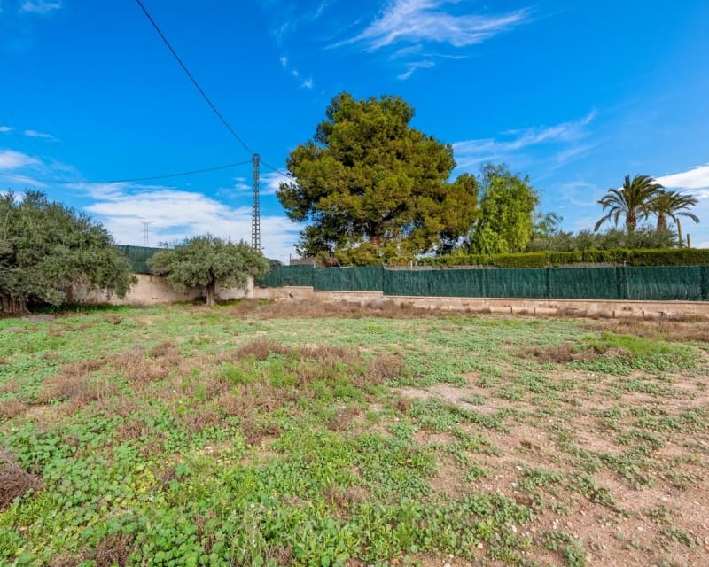3 Zimmer Finca/Landgut zu verkaufen in Elche / Elx mit Pool - 370.000 € (Ref: 10044066)