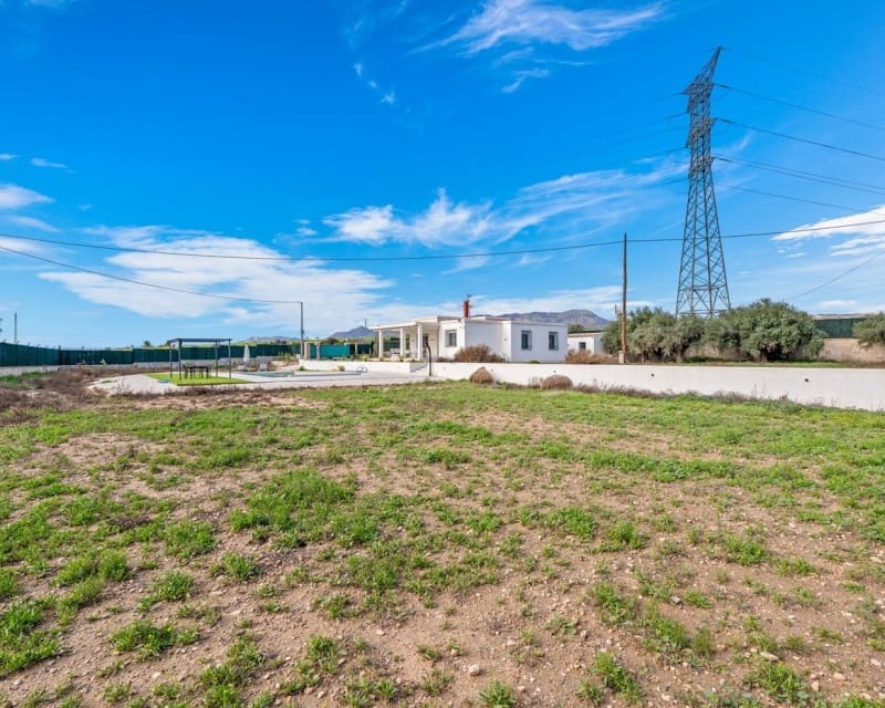 3 Zimmer Finca/Landgut zu verkaufen in Elche / Elx mit Pool - 370.000 € (Ref: 10044066)