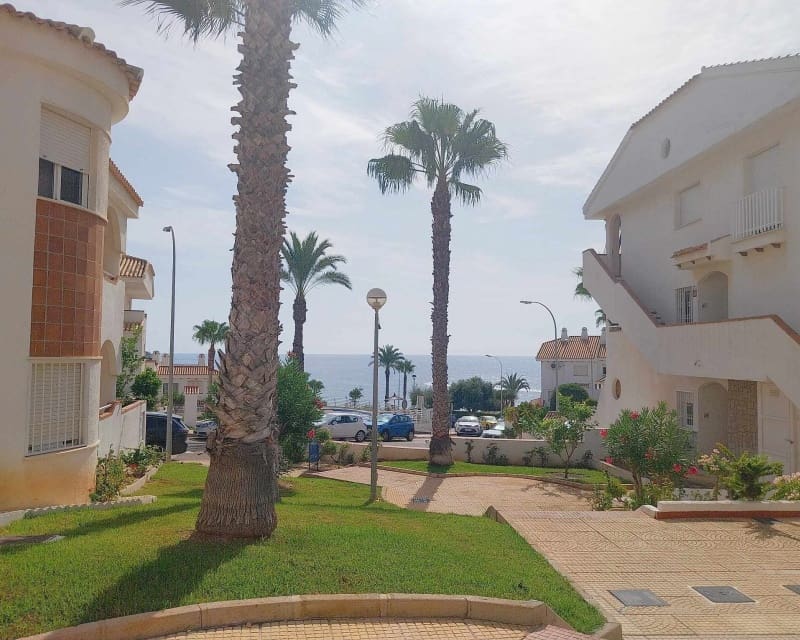 1 Zimmer Apartment zu verkaufen in Cabo Roig mit Pool - 149.950 € (Ref: 10044072)