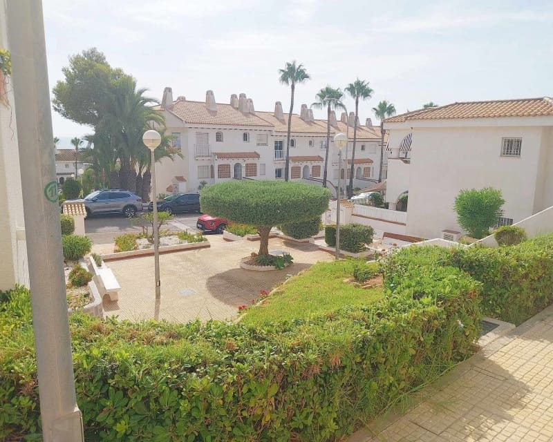 1 Zimmer Apartment zu verkaufen in Cabo Roig mit Pool - 149.950 € (Ref: 10044072)