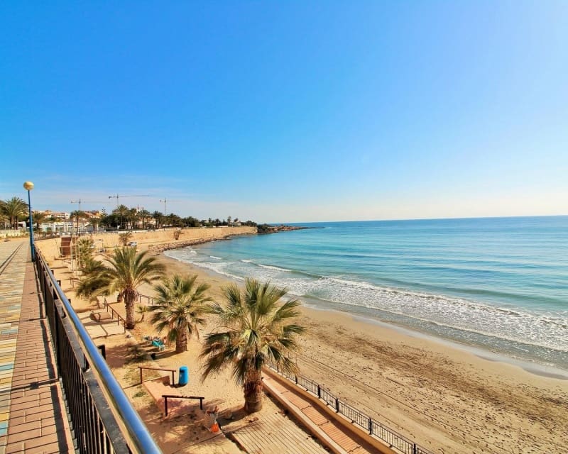 2 chambre Appartement à vendre à Punta Prima avec piscine garage - 359 900 € (Ref: 10045937)