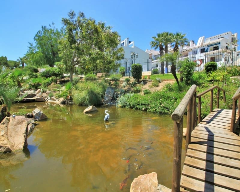 3 quarto Casa em Banda para venda em Villamartin com piscina - 289 000 € (Ref: 10167025)
