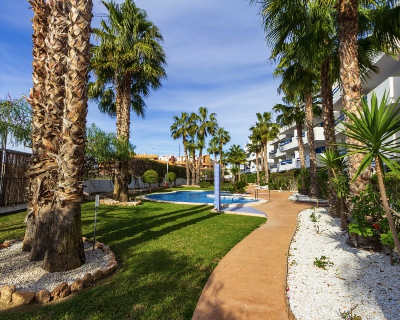 2 sovrum Lägenhet till salu i Playa Flamenca med pool garage - 239 000 € (Ref: 10167027)