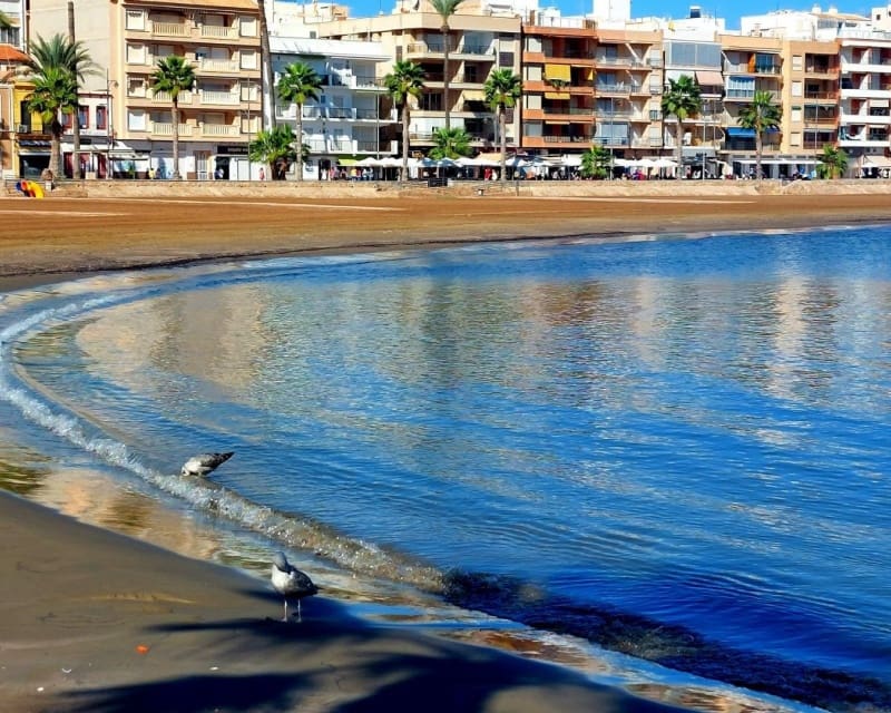 2 bedroom Townhouse for sale in La Pinilla with pool - € 212,750 (Ref: 10167034)