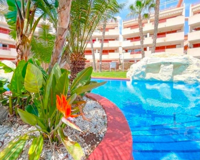 2 soveværelse Lejlighed til salg i Playa Flamenca med swimmingpool garage - € 234.900 (Ref: 10167040)